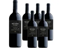 Trentino DOC Lagrein Bottega Vinai Cavit 6x 75cl (2021) – Rotwein, Italien (0.75l)
