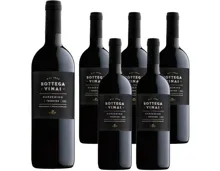 Trentino DOC Marzemino Bottega Vinai Cavit 6x 75cl (2020) – Rotwein, Italien (0.75l)