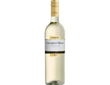 Trentino DOC Mastri Vernacoli Sauvignon Blanc (2024) – Weisswein, Italien (0.75l)