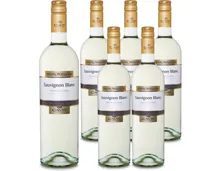 Trentino DOC Mastri Vernacoli Sauvignon Blanc 6x 75cl (2025) – Weisswein, Italien (0.75l)