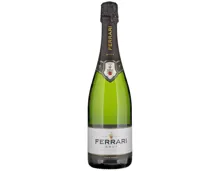 Trento DOC Ferrari brut – Schaumwein, Italien (0.75l)