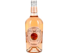 Trevenezie IGT 11 Minutes Rosé (2024) – Roséwein, Italien (0.75l)