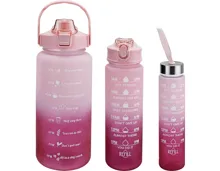 Trinkflasche rosa/bordeaux, 3 Stück