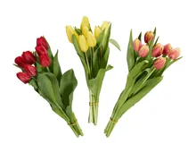 Tulpen