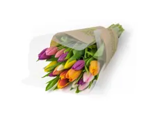 Tulpen gemischt 18 Stück