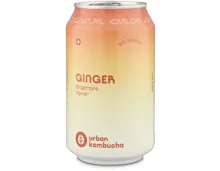 Urban Kombucha Grüntee & Ingwer
