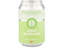 Urban Kombucha Zitronengras