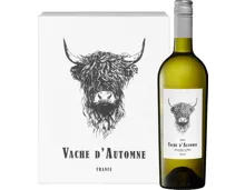 Vache d’Automne Viognier Pays d’Oc IGP