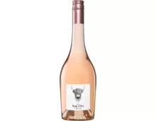 Vache d’Été Rosé Cinsault Pays d’Oc IGP