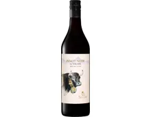 Val Souche Pinot Noir du Valais AOC