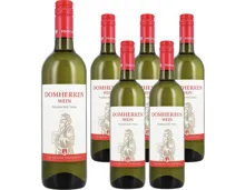 Valais AOC Fendant Domherrenwein Provins 6x 75cl (2023) – Weisswein, Schweiz (0.75l)