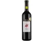 Valais AOC Merlot Bibacchus (2024) – Rotwein, Schweiz (0.75l)