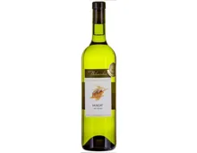 Valais AOC Muscat Terrasses du Rhône Bibacchus (2023) – Weisswein, Schweiz (0.75l)