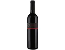 Valais AOC Pinot Noir de Sierre Clavien (2024) – Rotwein, Schweiz (0.75l)