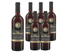 Valais AOC Pinot Noir Fleur du Rhône 6x 75cl (2024) – Rotwein, Schweiz (0.75l)