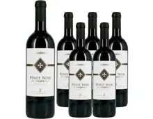 Valais AOC Pinot Noir Salquenen 6x 75cl (2023) – Rotwein, Schweiz (0.75l)