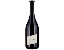 Valais AOC Syrah Cayas Jean-René Germanier (2023) – Rotwein, Schweiz (0.75l)