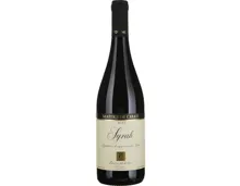 Valais AOC Syrah Maître de Chais Provins (2023) – Rotwein, Schweiz (0.75l)
