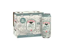 VALAISANNE Session Lager Bier 6x50cl