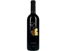 Vaud Diolinoir Vin de Pays Dizerens (2023) – Rotwein, Schweiz (0.75l)