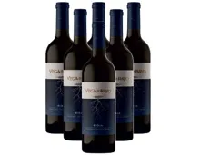 Vega del Rayo Rioja DOCa Vendimia Seleccionada
