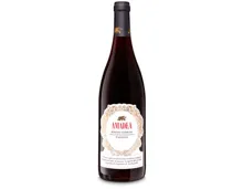 Veneto IGT Rosso Passito Amadea
