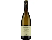 Veneto IGT Sauvignon Bianco Conte di Valle (2025) – Weisswein, Italien (0.75l)