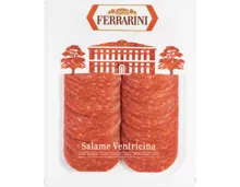 Ventricina-Salami