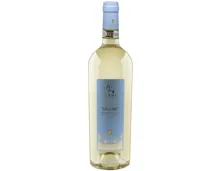 Vermentino di Gallura Docg Meoru Cantina Tani (2024) – Weisswein, Italien (0.75l)