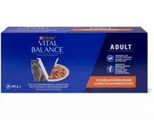 Vital Balance Adult Huhn