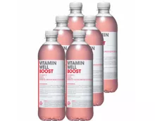 Vitamin Well Boost 6x 50cl