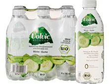 Volvic Essence Mineralwasser Minze-Gurke