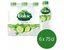 Volvic Essence Minze Gurke 6x75cl