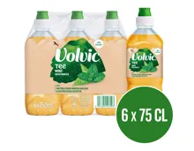 Volvic Grüntee mit Minzgeschmack 6x75cl