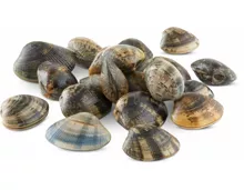 Vongole Veraci