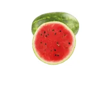 Wassermelonen Dumara