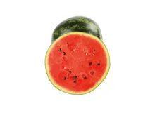 Wassermelonen Mini