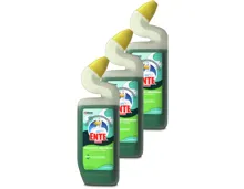 WC-Ente Gel Küstenwald 3x750ml