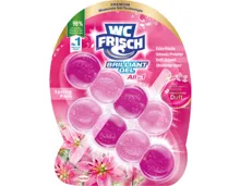 WC Frisch Einhänger Brillant Spring Rain 2 x 42 g