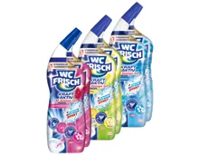 WC FRISCH Kraft-Aktiv