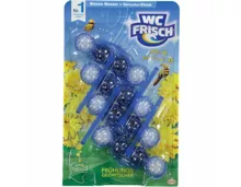 WC Frisch Kraft Frühlingsgezwitsch 4 x 50 g