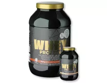 Whey Protein Pulver