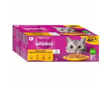 Whiskas Geflügel Selektion in Gelee 40 x 85 g