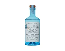 Wild Burrow Gin