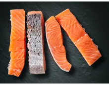 XXL Lachsfilet