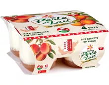 Yoplait Perle de Lait Aprikosen aus dem Wallis