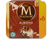 Z.B. Magnum Almond, 6 x 110 ml<br /> 6.85 statt 8.60
