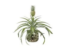 Zier-Ananas in Royal Keramik