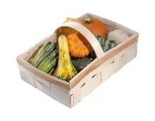 Zierkürbisse im Spankorb