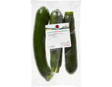 Zucchetti